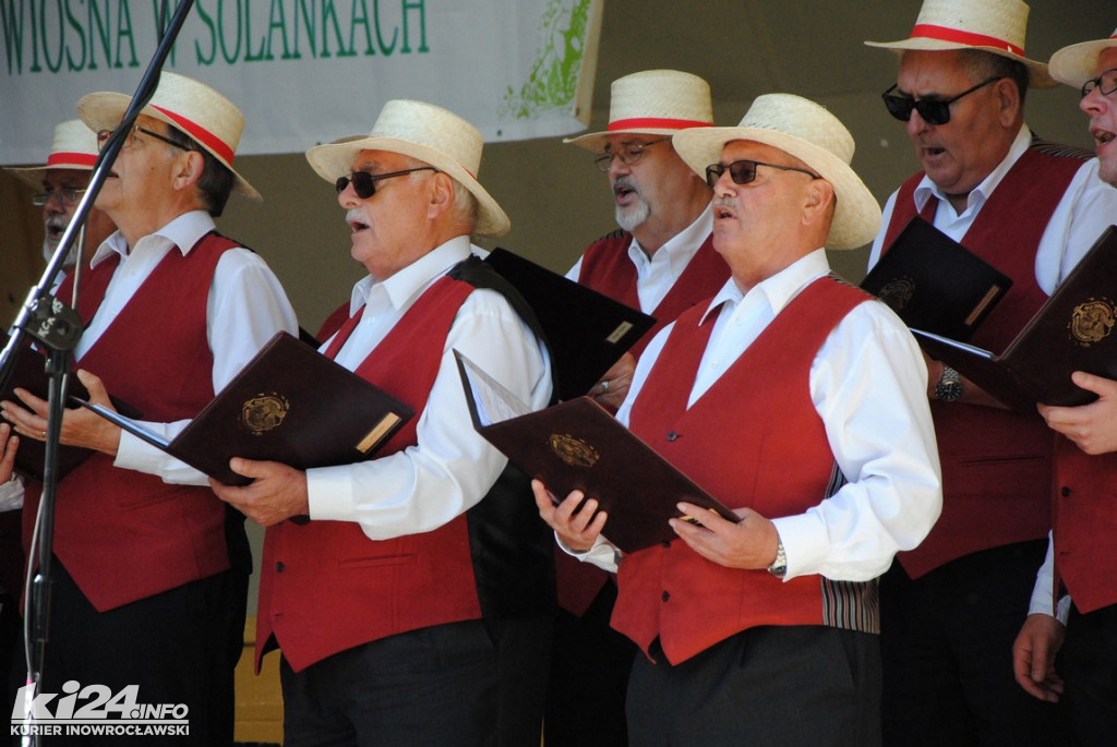 Wiosna w Solankach
