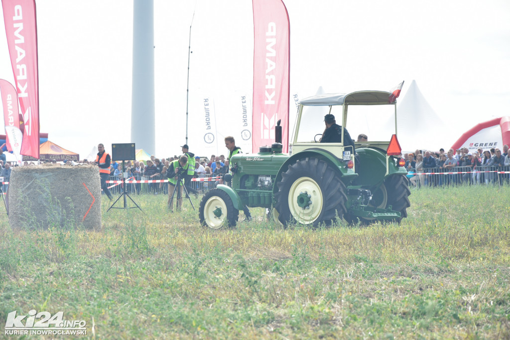 Grene Race 2018 w Wielowsi