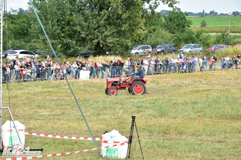 Grene Race 2018 w Wielowsi