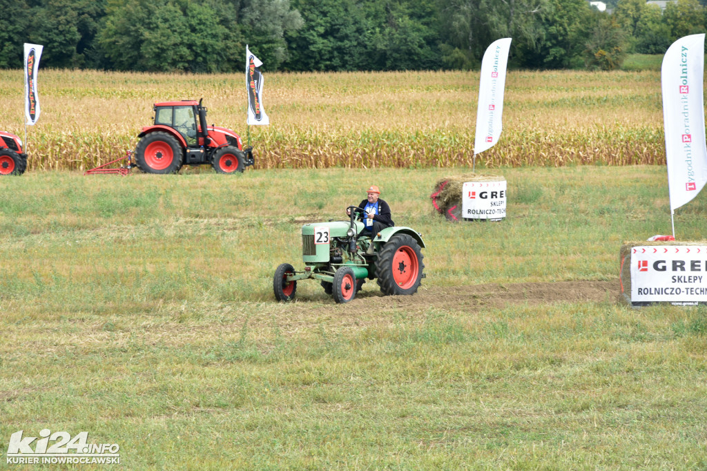 Grene Race 2018 w Wielowsi