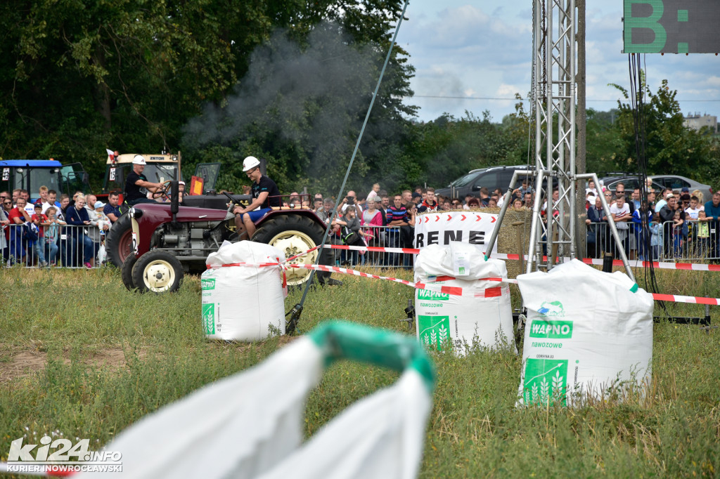 Grene Race 2018 w Wielowsi
