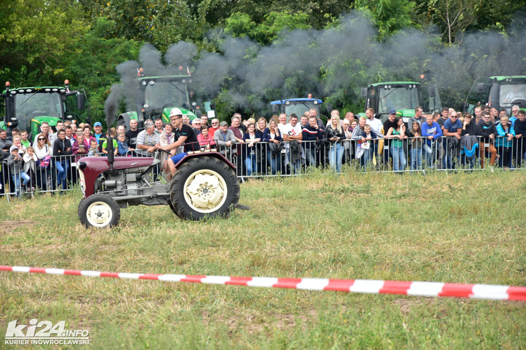 Grene Race 2018 w Wielowsi