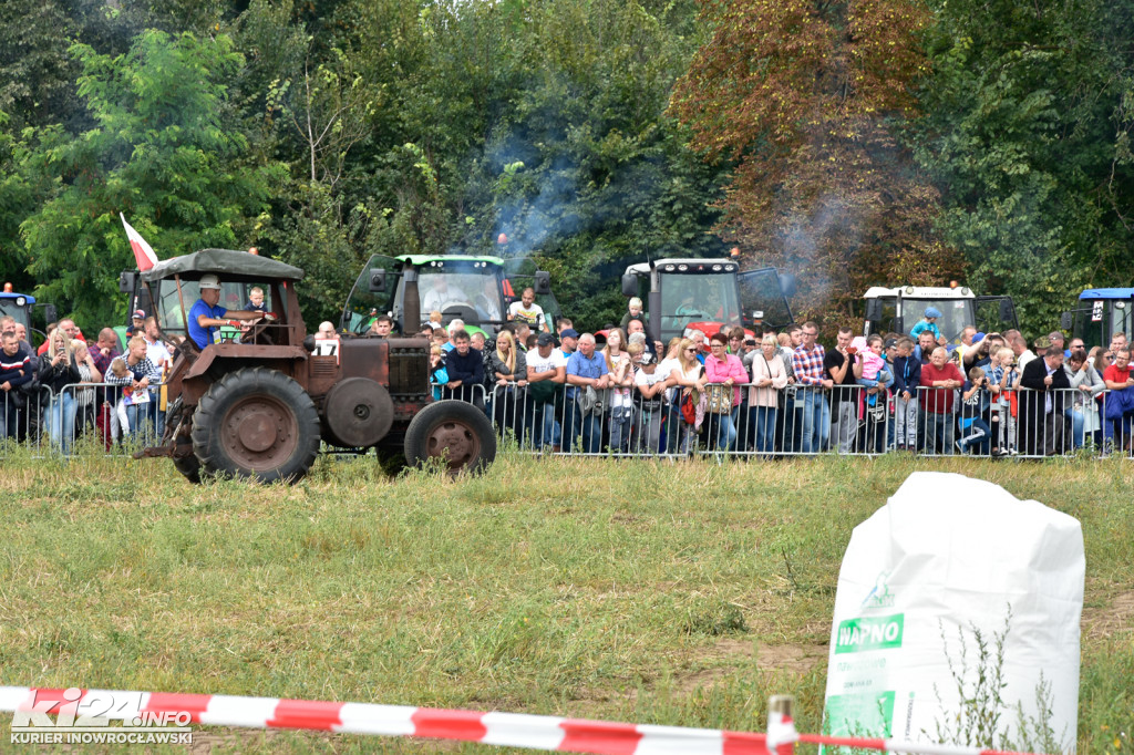 Grene Race 2018 w Wielowsi