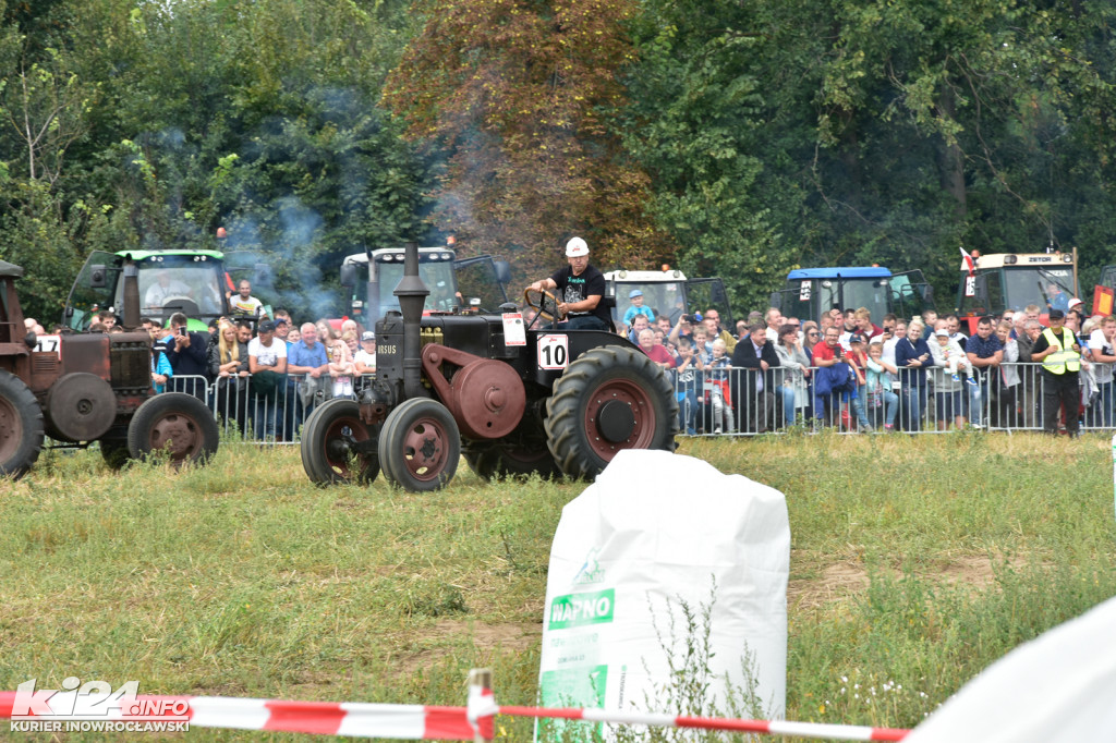 Grene Race 2018 w Wielowsi
