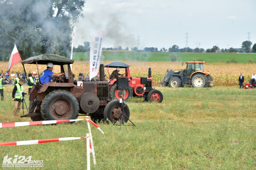 Grene Race 2018 w Wielowsi