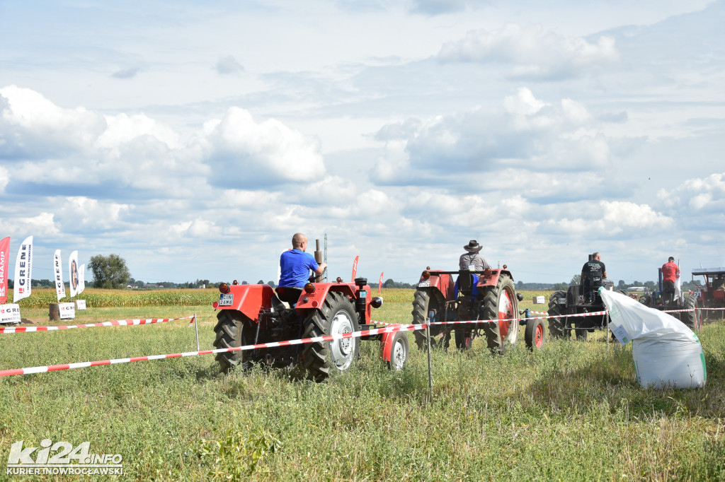 Grene Race 2018 w Wielowsi
