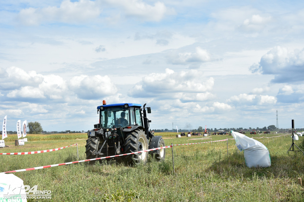 Grene Race 2018 w Wielowsi
