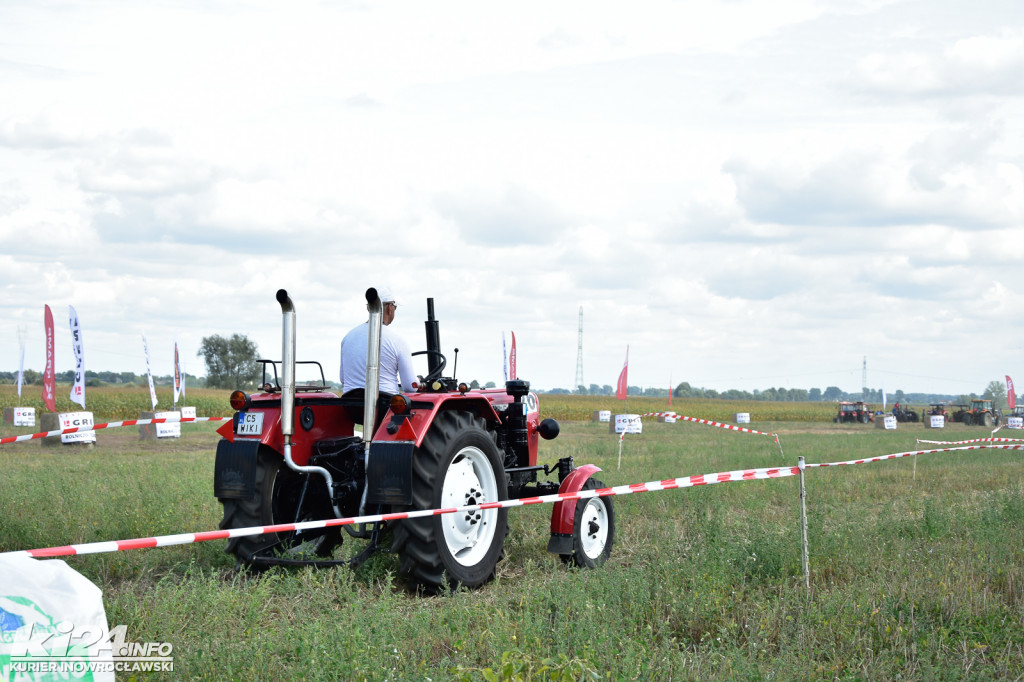 Grene Race 2018 w Wielowsi