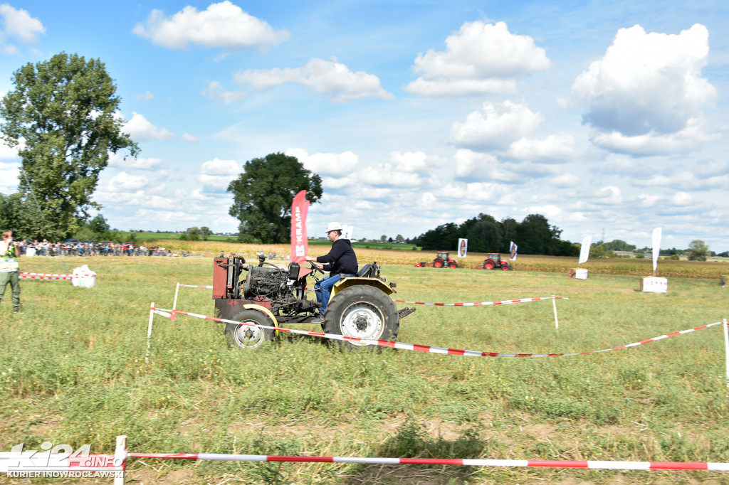 Grene Race 2018 w Wielowsi
