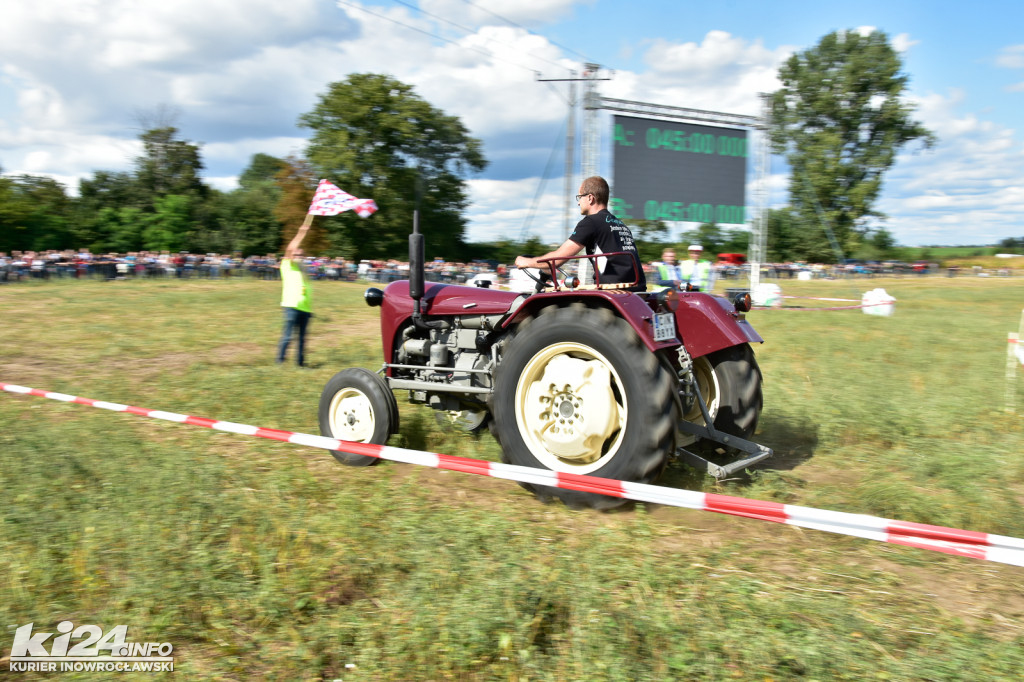 Grene Race 2018 w Wielowsi