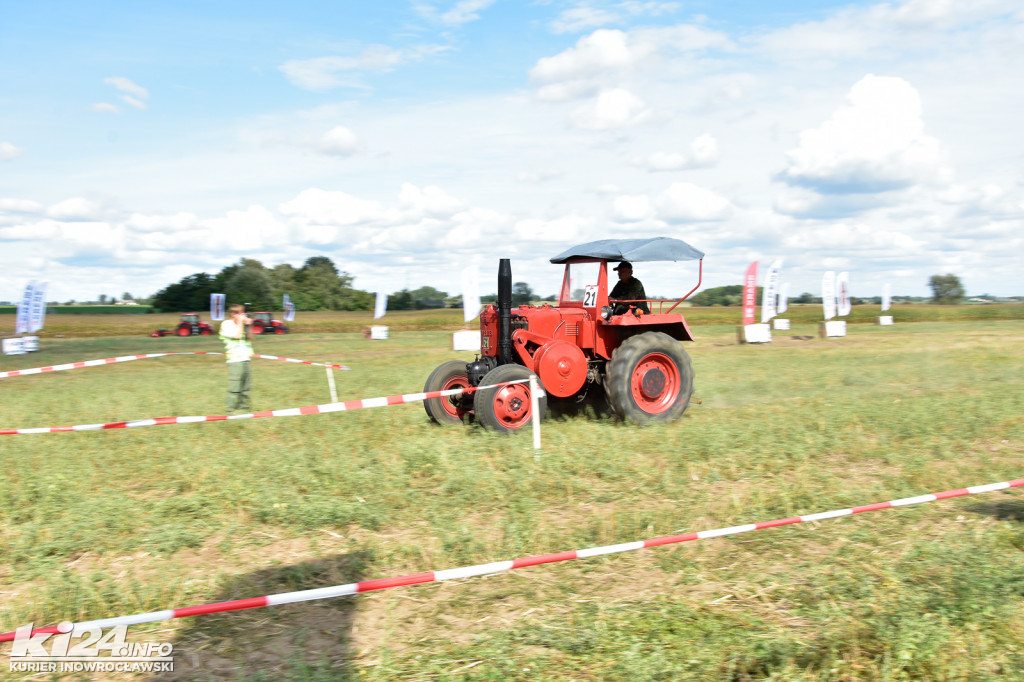 Grene Race 2018 w Wielowsi