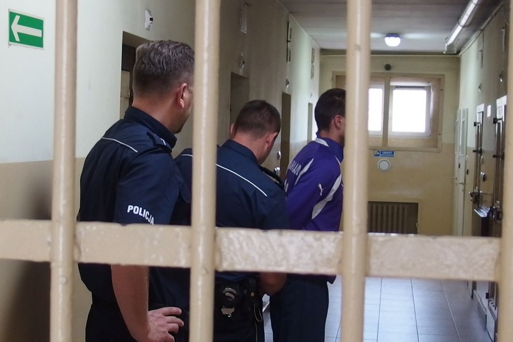 Dwóch braci zamieniło sklepy w plantacje konopi