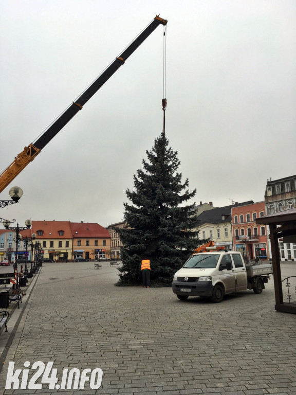 Choinka na inowrocławskim Rynku
