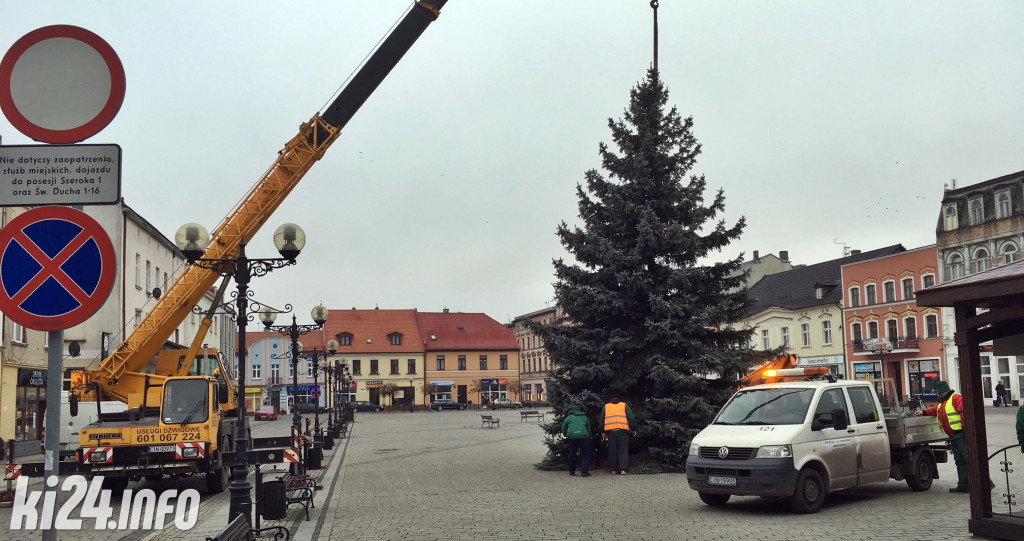 Choinka na inowrocławskim Rynku