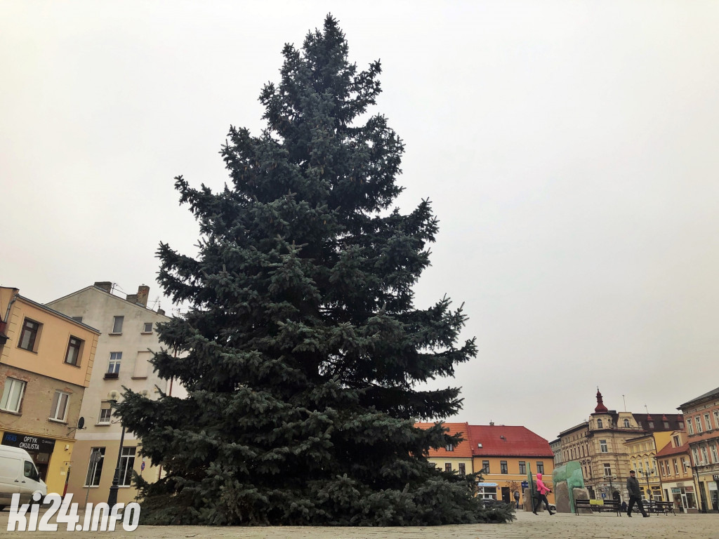 Choinka na inowrocławskim Rynku