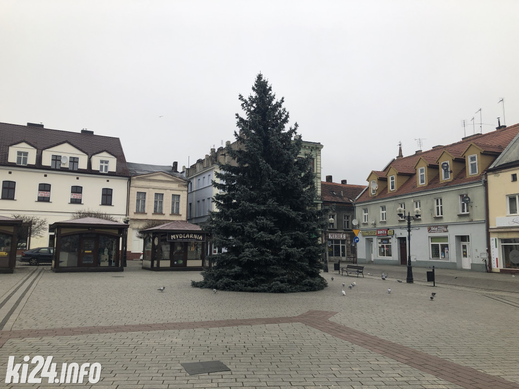 Choinka na inowrocławskim Rynku