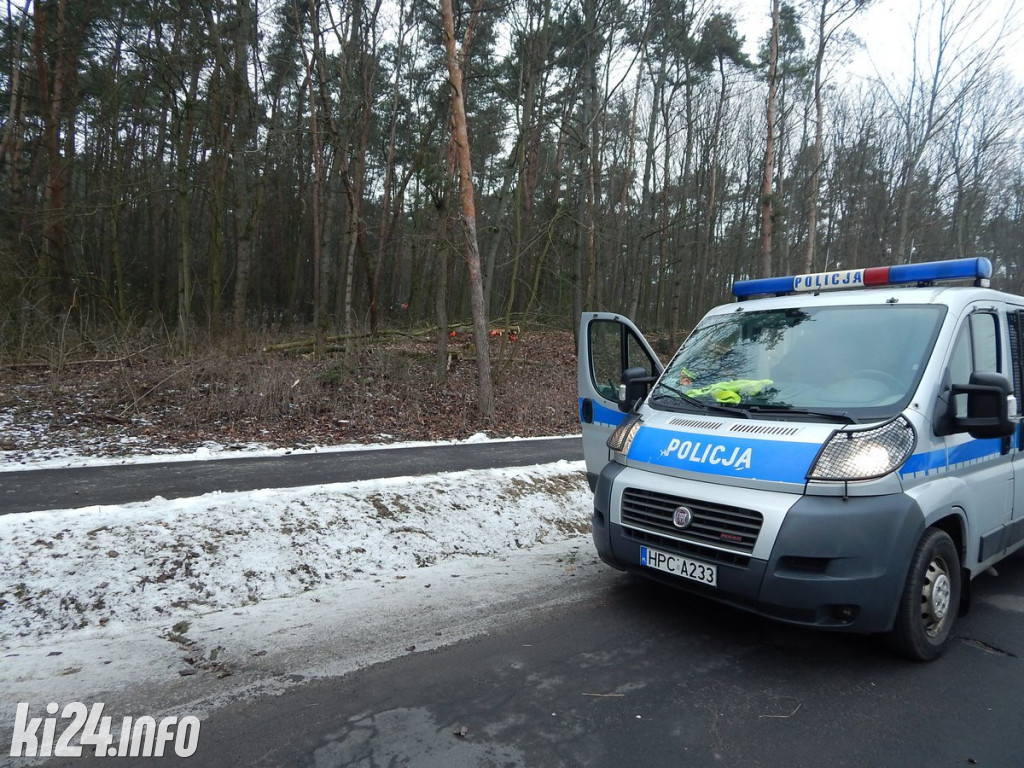 Wypadek przy wycince drzew