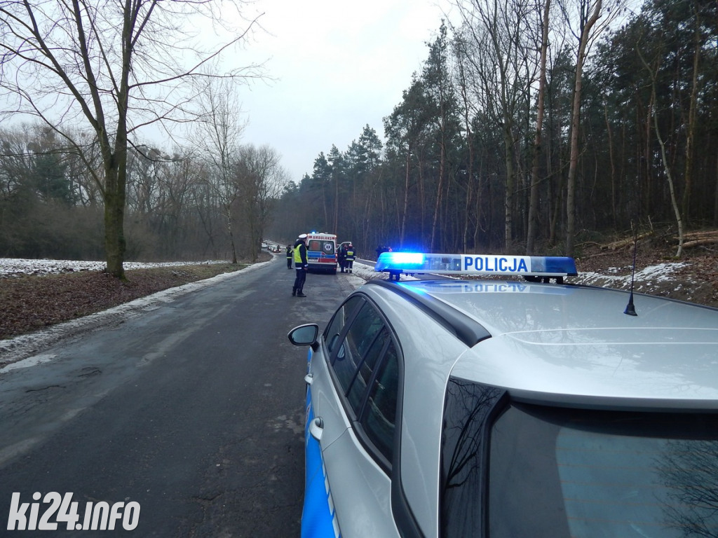 Wypadek przy wycince drzew