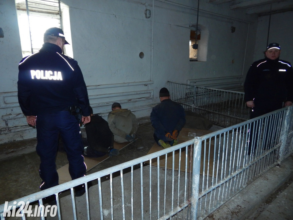 Nielegalny tytoń w rękach policji