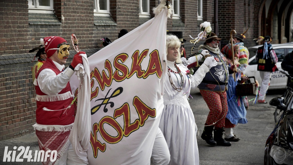 Kozy zapustne