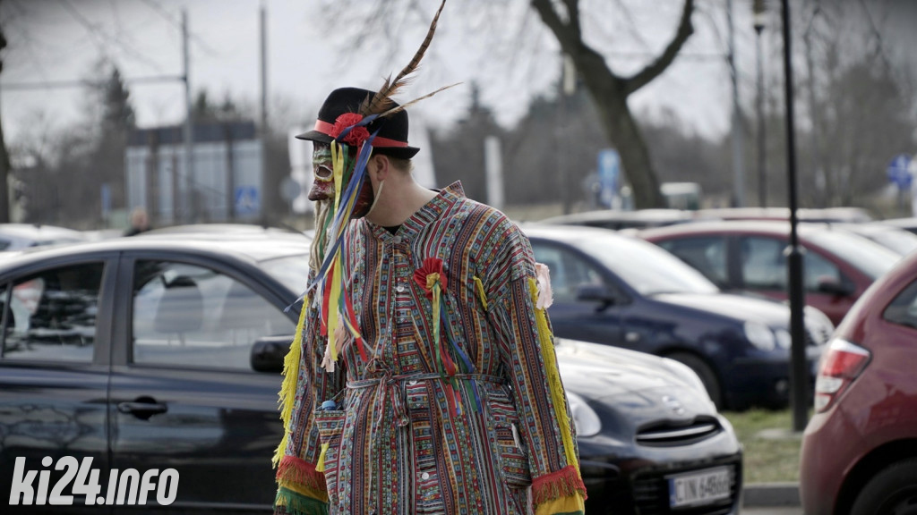Kozy zapustne