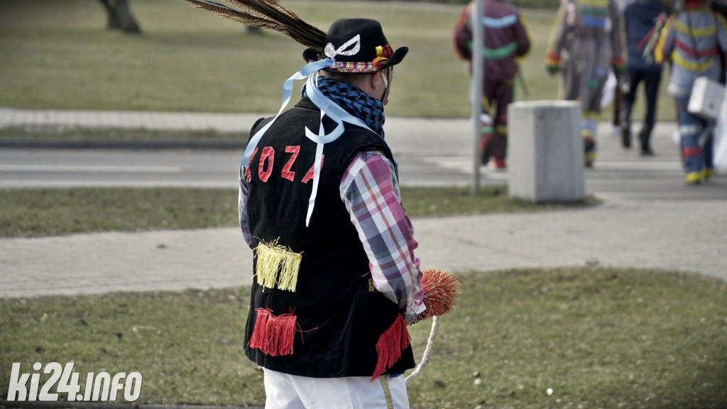 Kozy zapustne