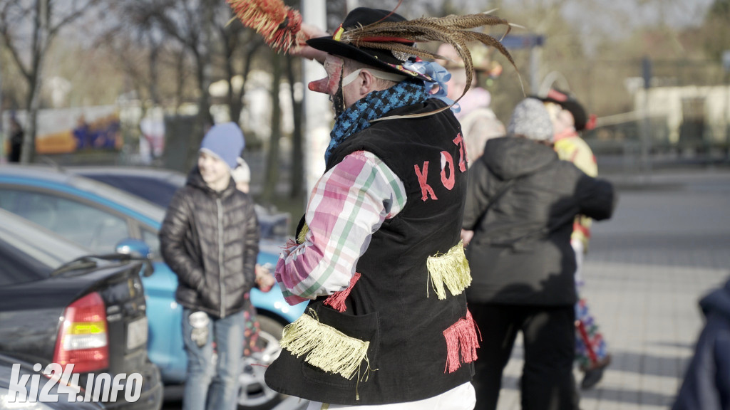 Kozy zapustne