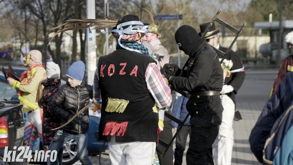 Kozy zapustne
