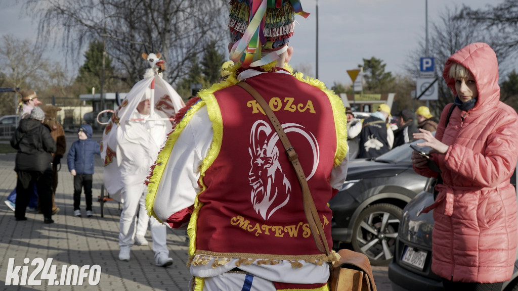 Kozy zapustne