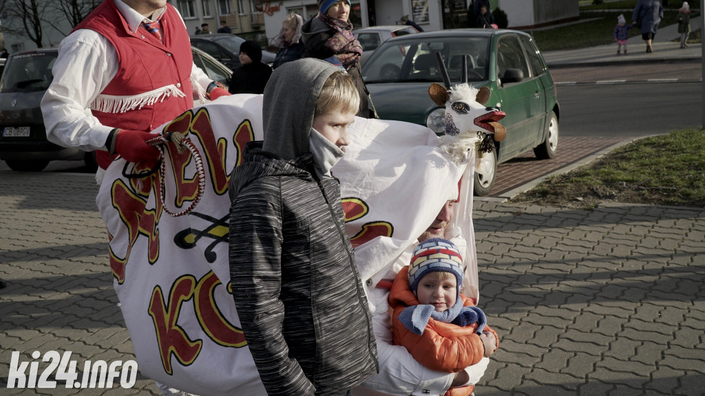 Kozy zapustne