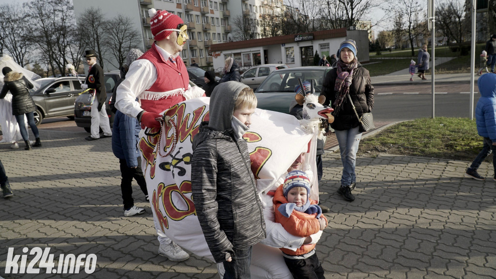 Kozy zapustne
