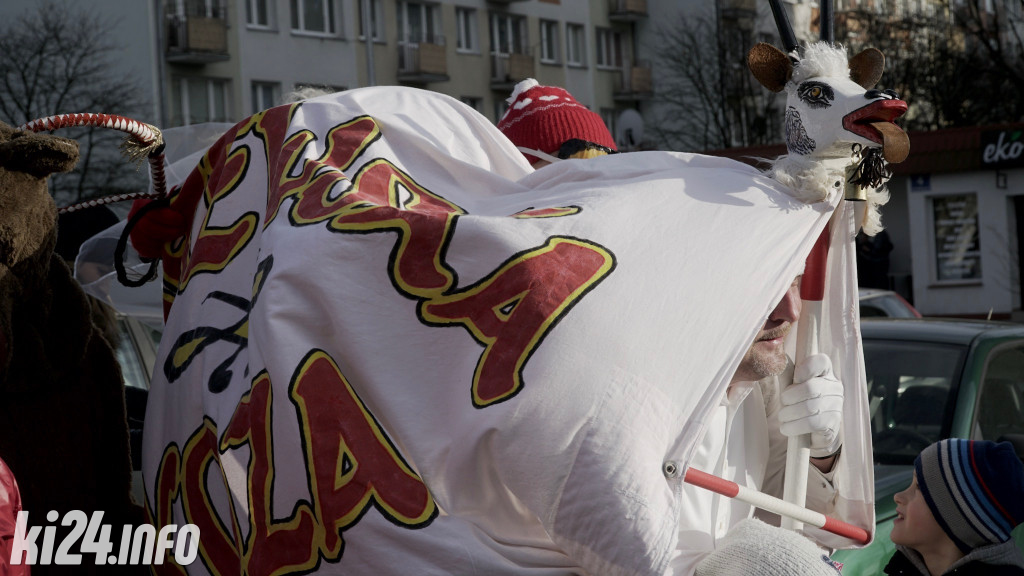 Kozy zapustne