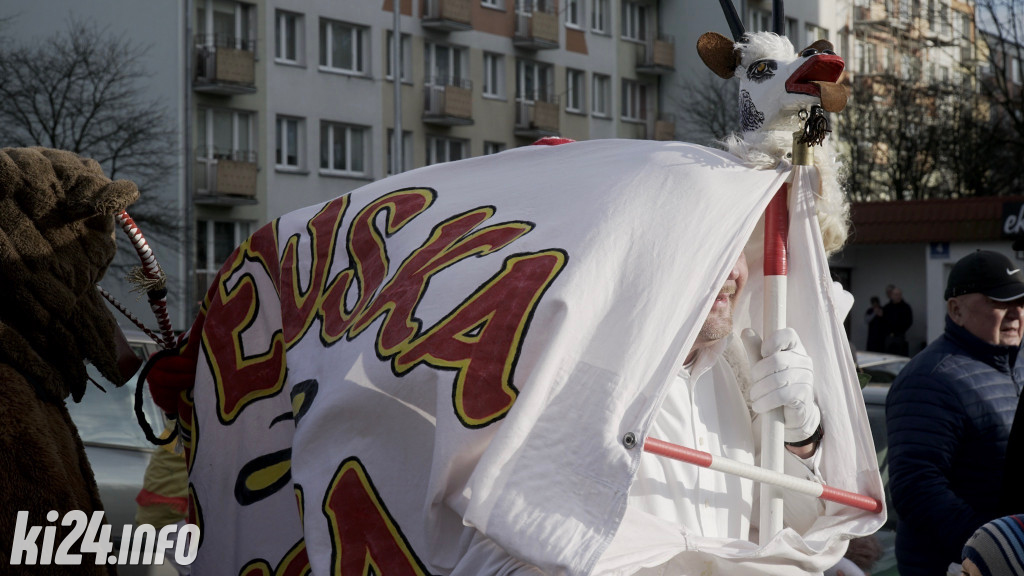 Kozy zapustne
