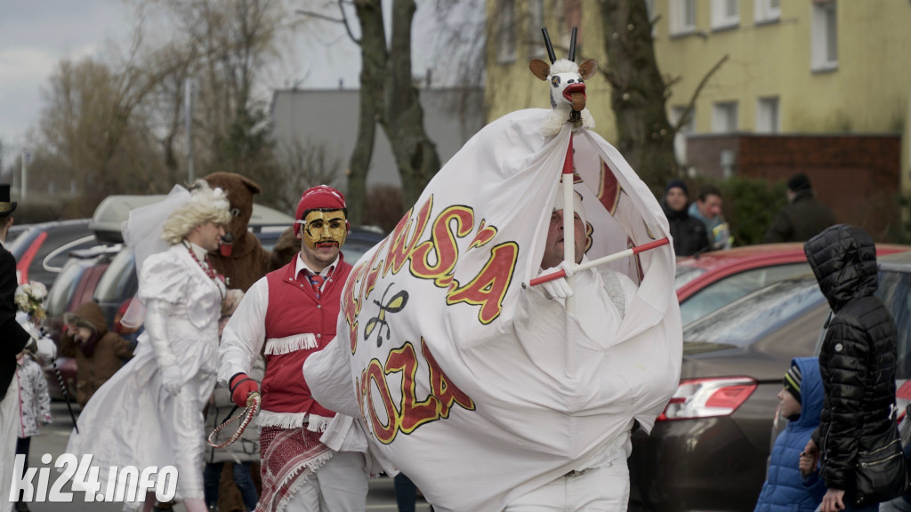 Kozy zapustne