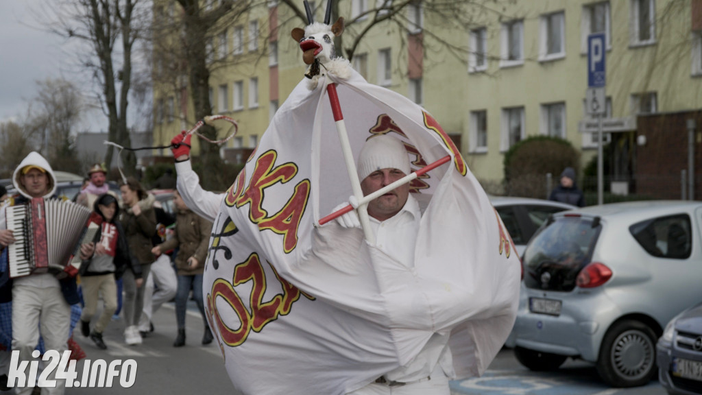 Kozy zapustne