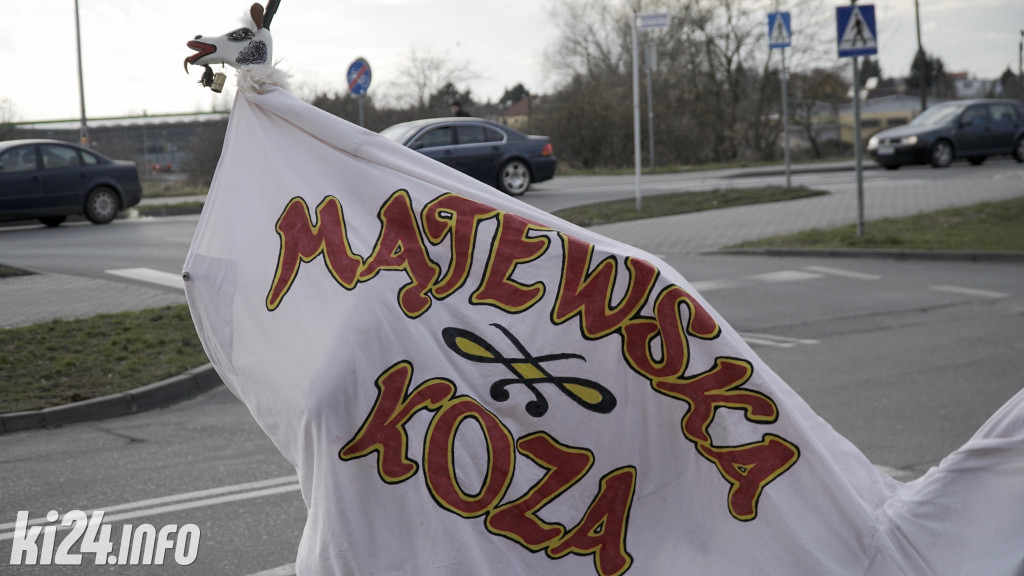 Kozy zapustne