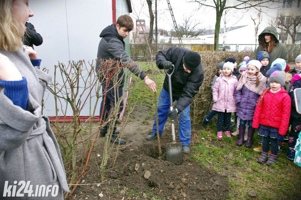 Strajk dla klimatu