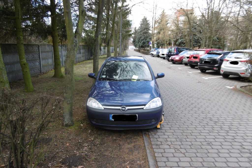 Mistrzowie parkowania