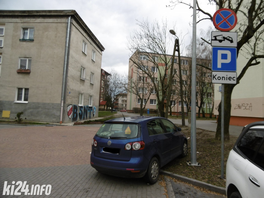 Mistrzowie parkowania