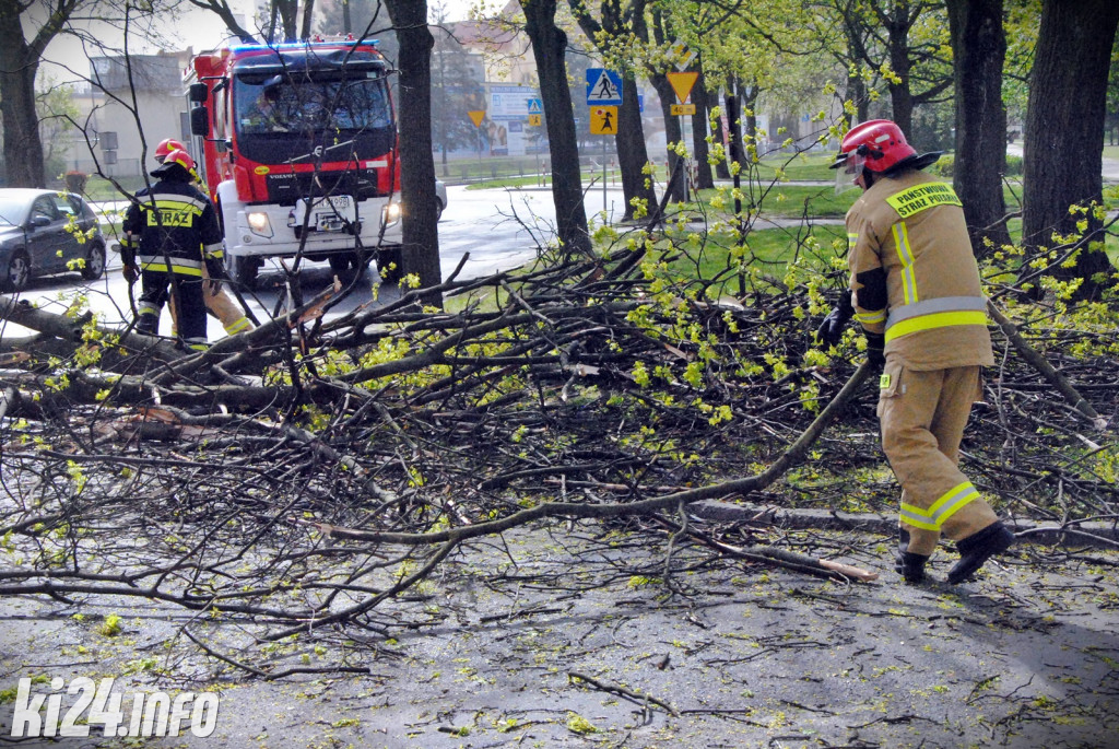 Powalone drzewo na Sikorskiego