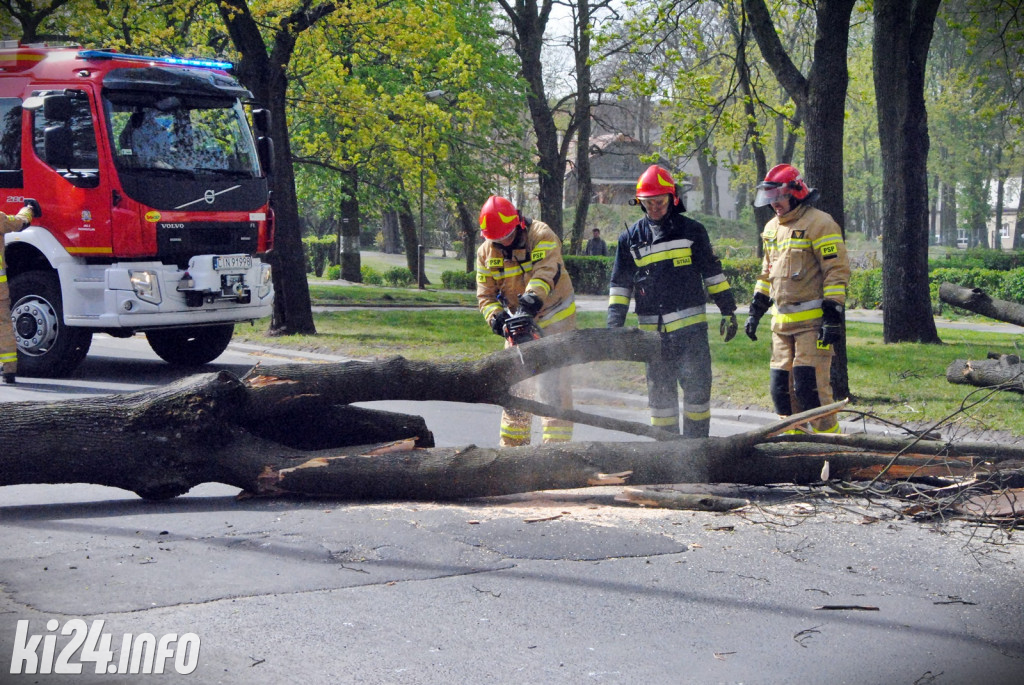Powalone drzewo na Sikorskiego