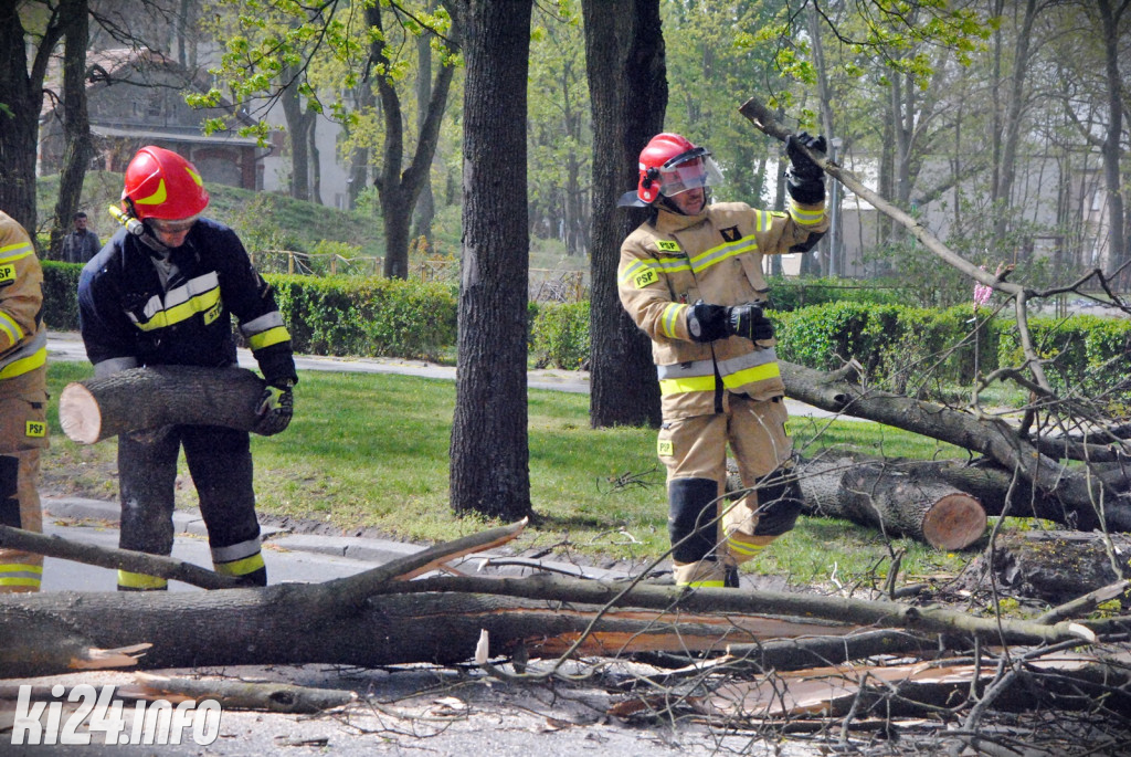 Powalone drzewo na Sikorskiego