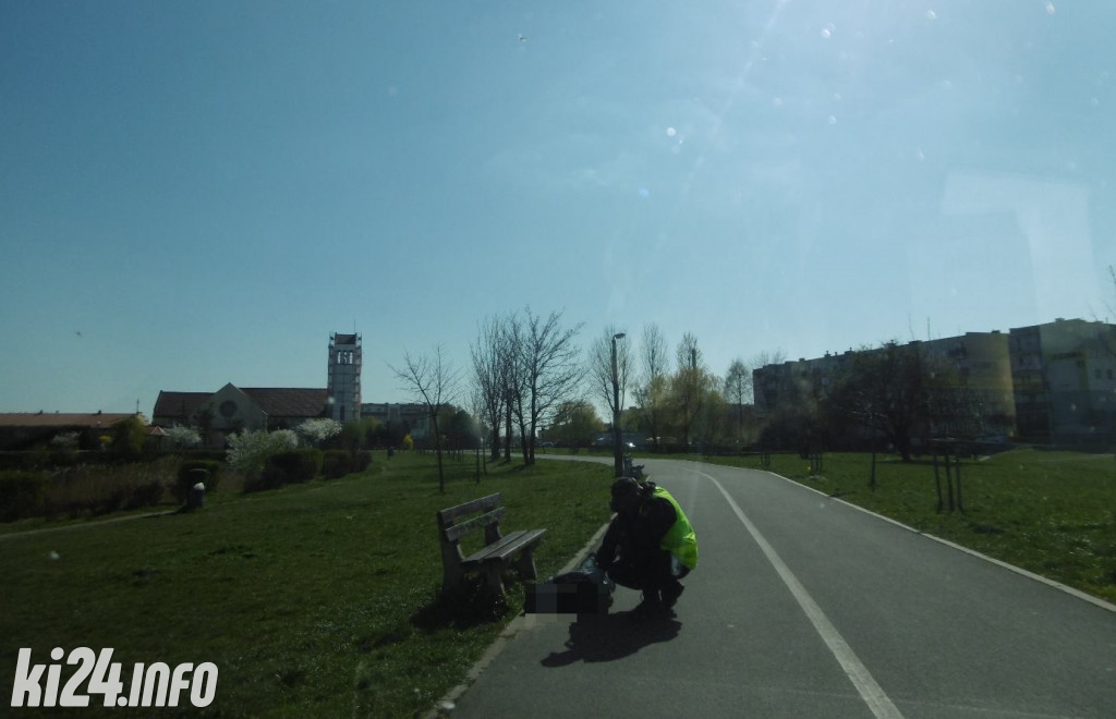 Interwencje Straży Miejskiej