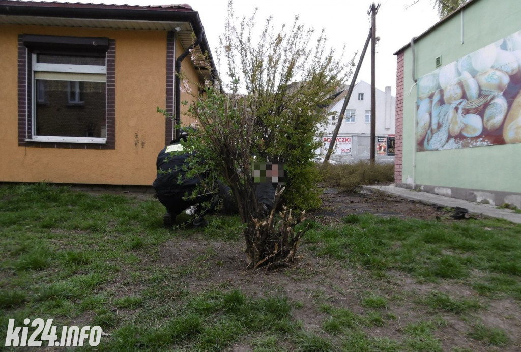 Interwencje Straży Miejskiej