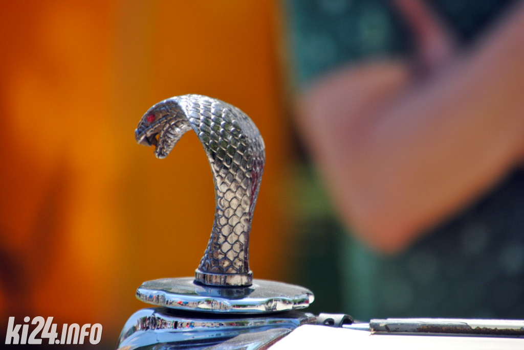 Piknik motoryzacyjny