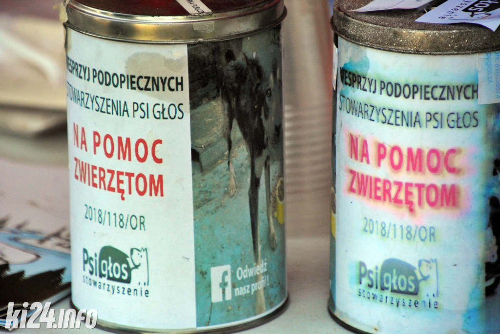 Dzień Kundelka