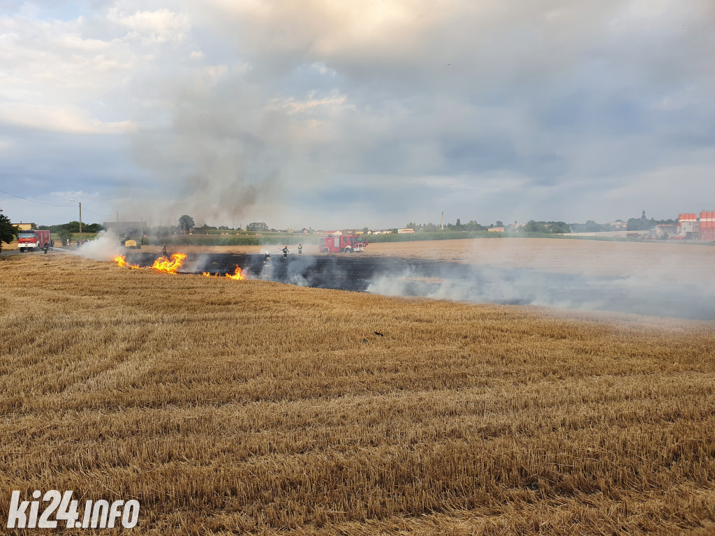 Pożar ścierniska w Mątwach