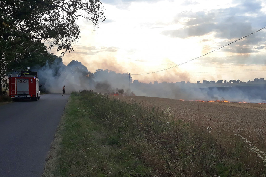 Pożar pola koło Pakości