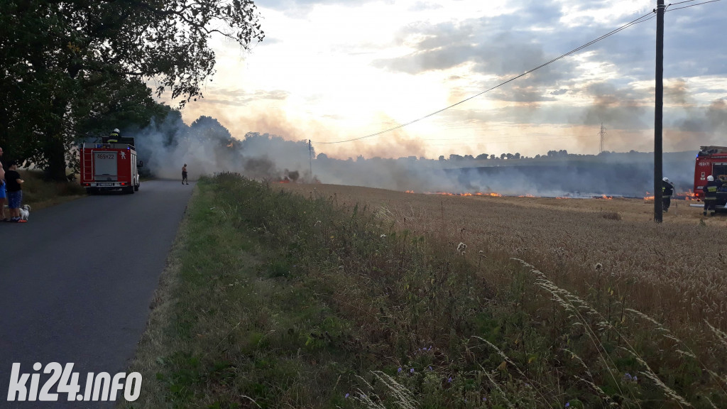 Pożar pola koło Pakości