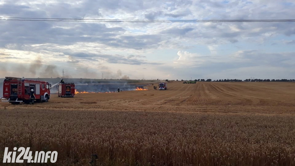 Pożar pola koło Pakości